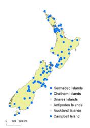 Veronica arvensis distribution map based on databased records at AK, CHR & WELT.
 Image: K.Boardman © Landcare Research 2022 CC-BY 4.0